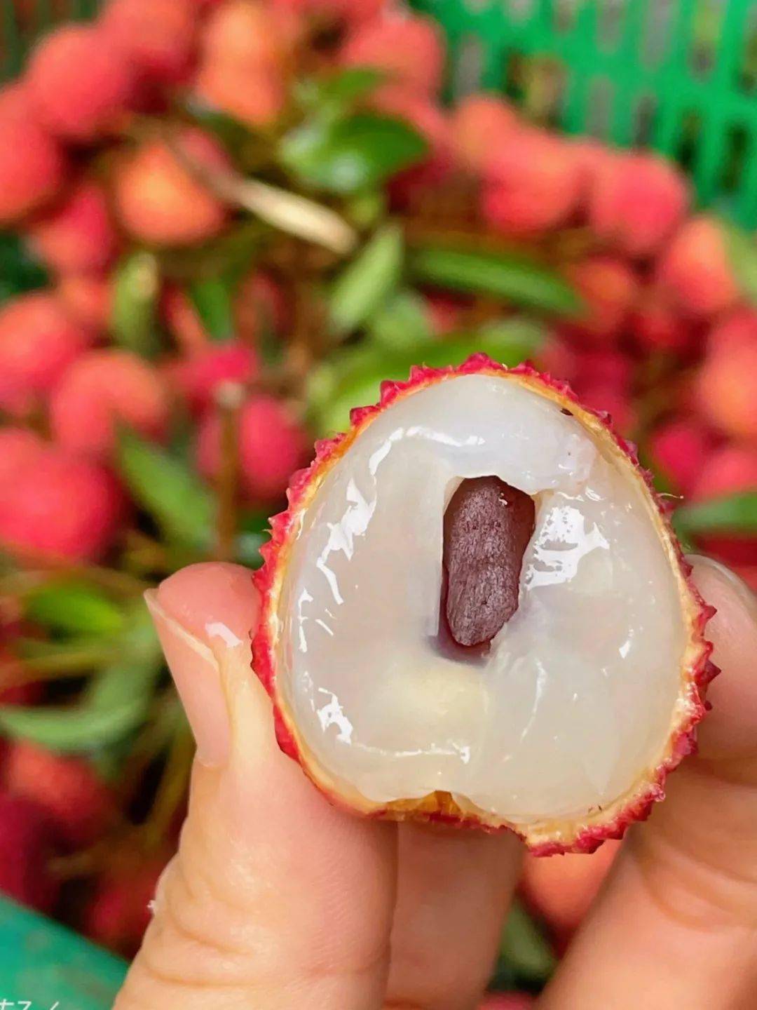 【高州桂味荔枝】79.9元5斤!甘甜如蜜,桂香馥郁,巨好吃!