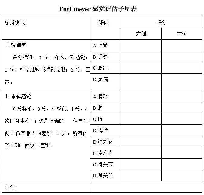 brunel平衡量表图片