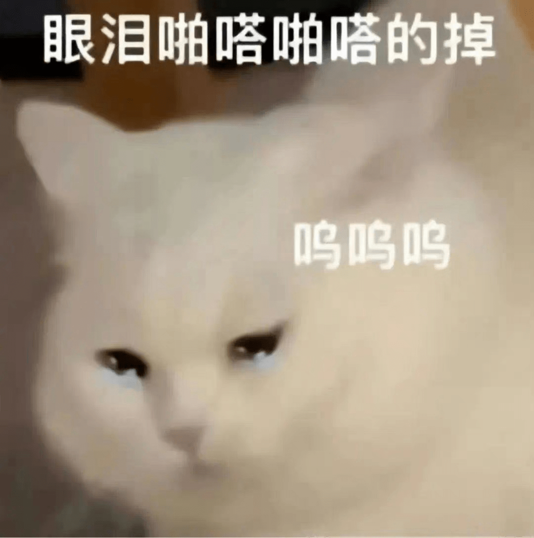 大妈偷猫粮煮粥吃中毒了，报警说有人投毒，结局大反转！_手机搜狐网