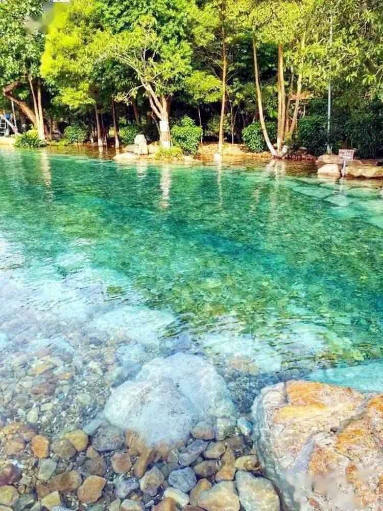 1号【翁源冷泉滩】遇见21℃的夏天,畅游原生态泳池,探访湖心坝客家