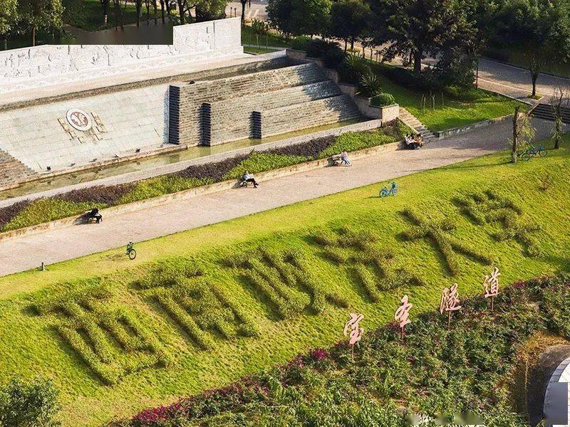 你有万丈理想,就报西南政法大学!_创新_学术_本科