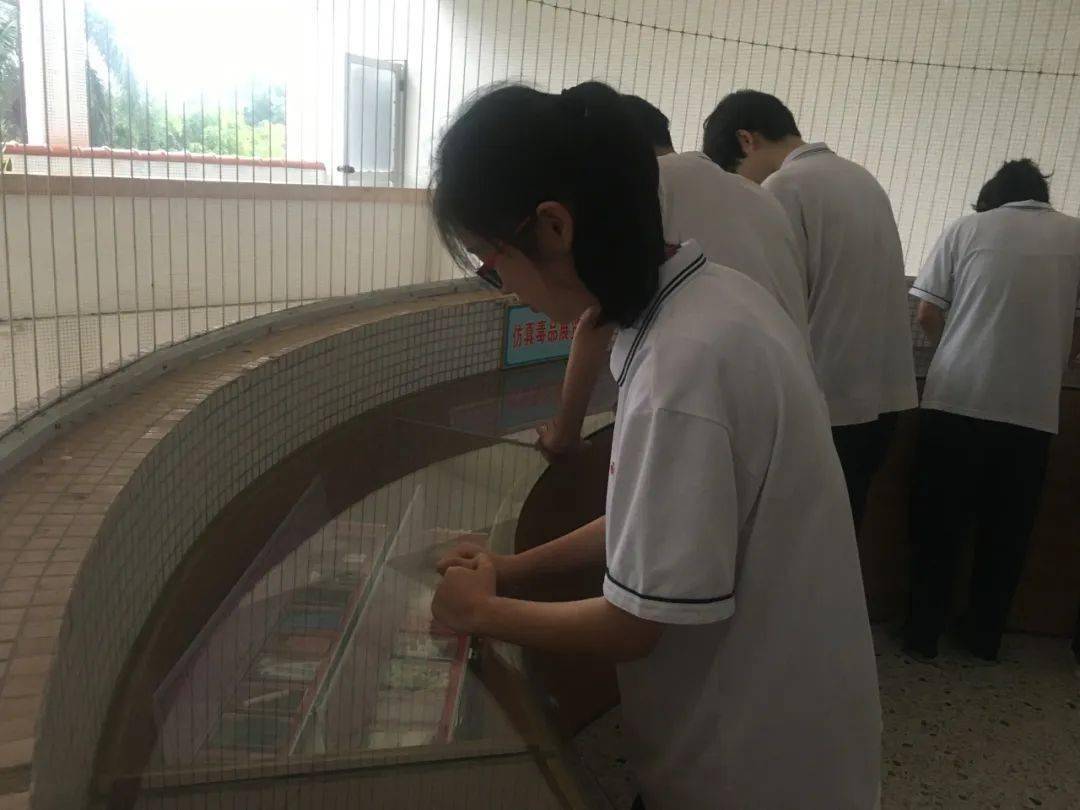 【基层动态】健康人生 绿色无毒——晓升中学开展禁毒教育活动_毒品
