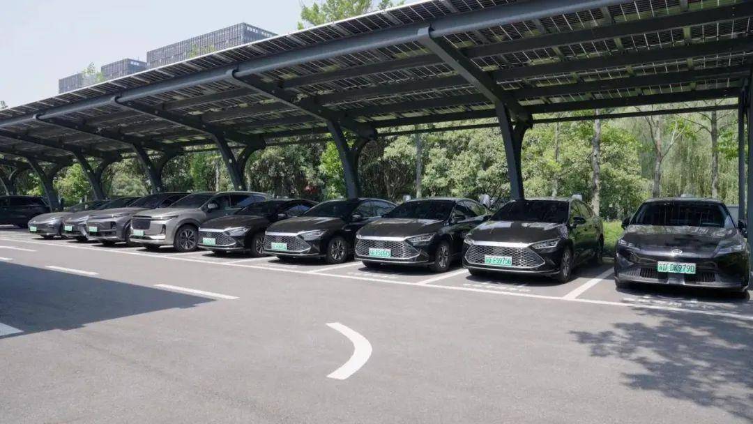 向"新"而行 聚"能"蝶变——常州市机关事务管理局