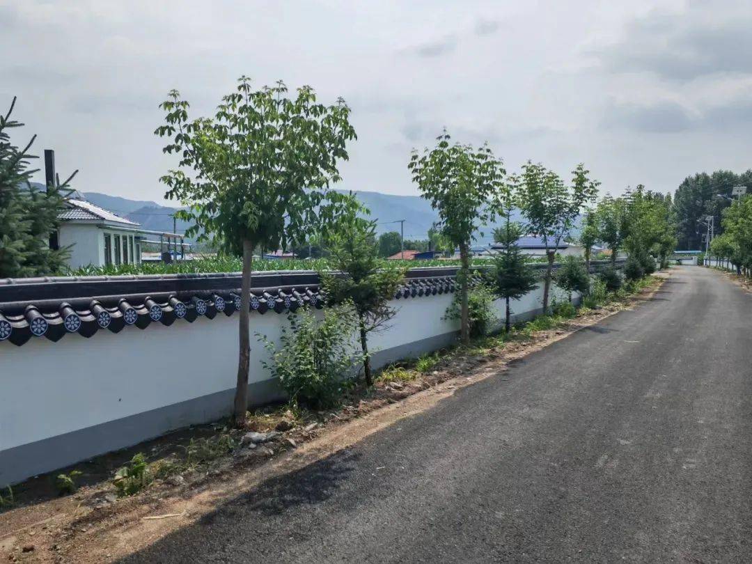 【要闻】北兴村的"幸福密码"——州重点边境村龙井市三合镇北兴村走笔