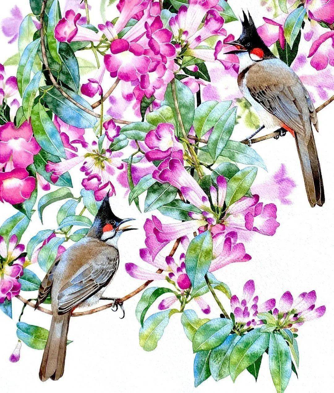 自然洒脱趣意十足的水彩花鸟画,泰国80后水彩画家kitipong ti_作品