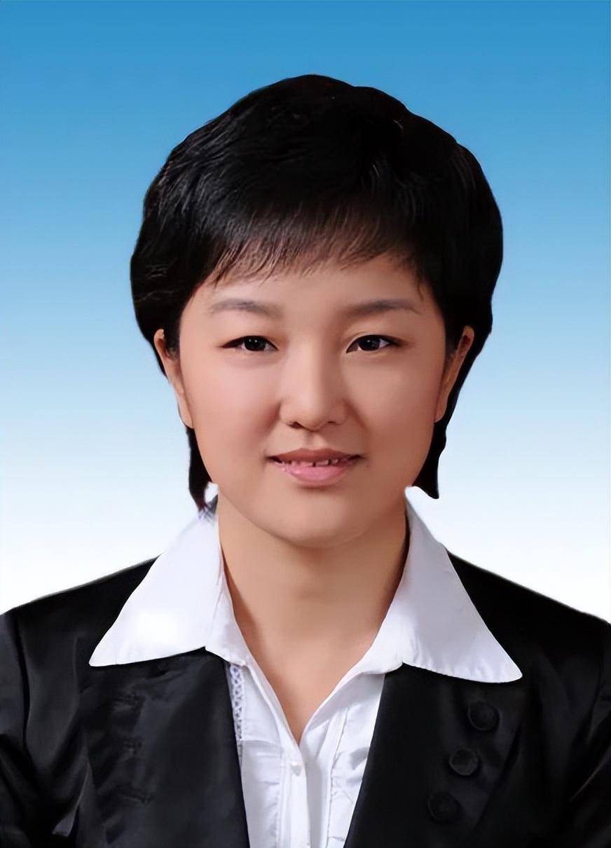 陈宇辉出生于1972年3月,大学学历,中共党员,现任依兰县委书记,二级