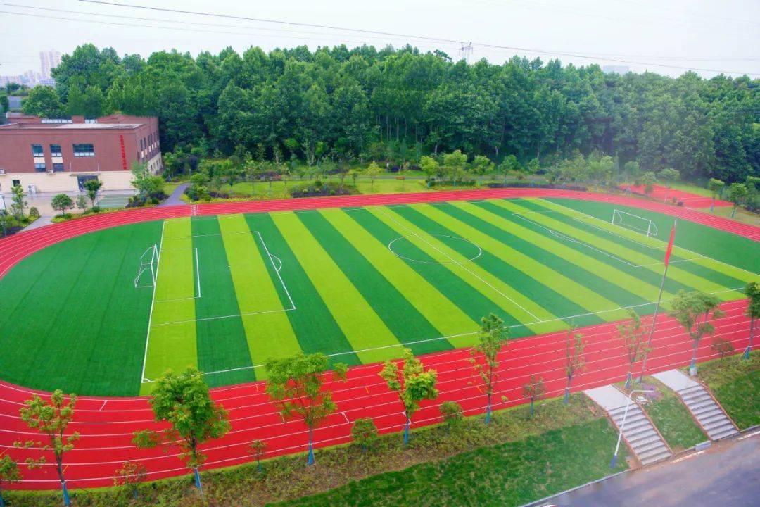 宜昌师范高等专科学校图片