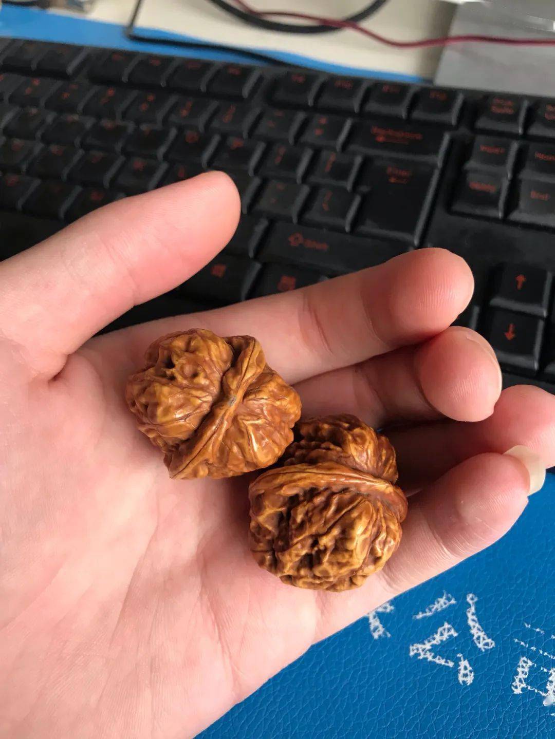 麻核桃蛤蟆头较轻上手没有打手的感觉而且容易出花点铁核桃蛤蟆头