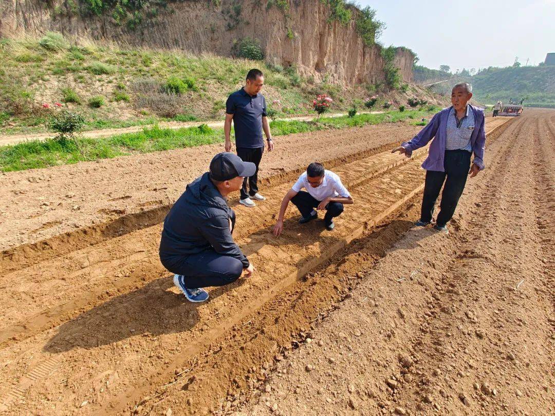省农机发展中心赴万荣县调研指导中药材生产机械化示范项目实施情况