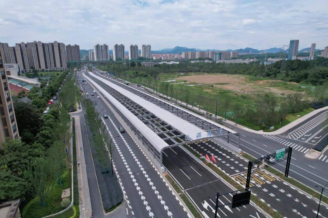 限制通行規定運溪隧道及運溪高架地面銜接段非浙a號牌機動車不限行