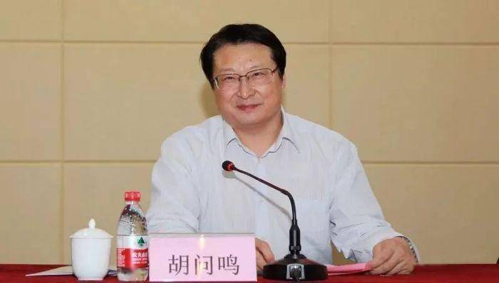 党的十九大以来,中央纪委国家监委先后查处了孙波,胡问鸣,云公民