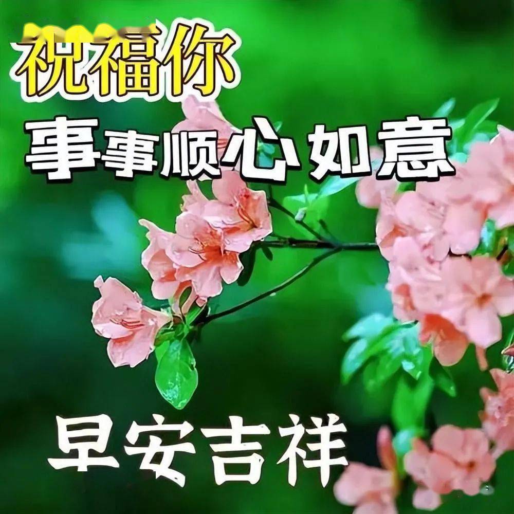 早安吉祥图片大全最美图片