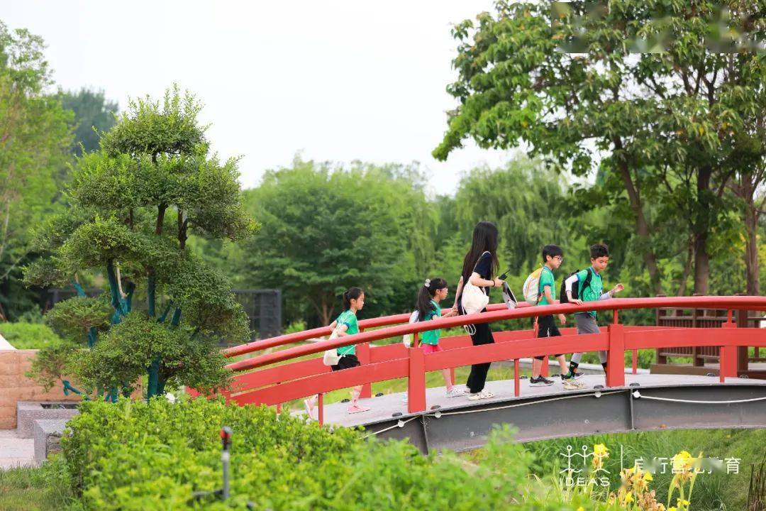 洛阳营探班:当传统文化遇到国际营地!_生活_宿舍_孩子