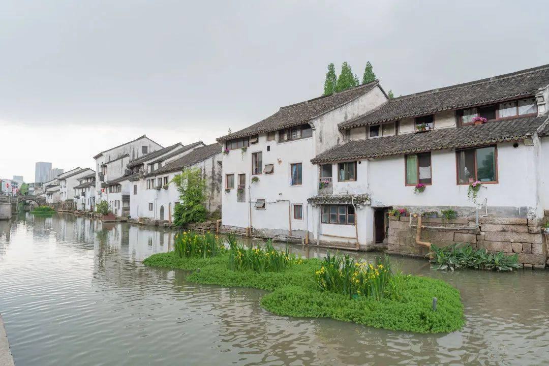 千年老街,蝶变古韵西兴_亚运_改造_整治