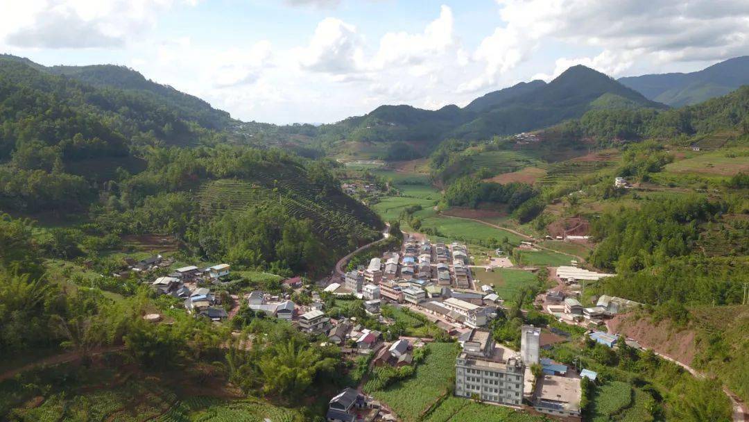 产业增产提质,带动农民群众增收致富,2022年,景谷县凤山镇在平田村,海