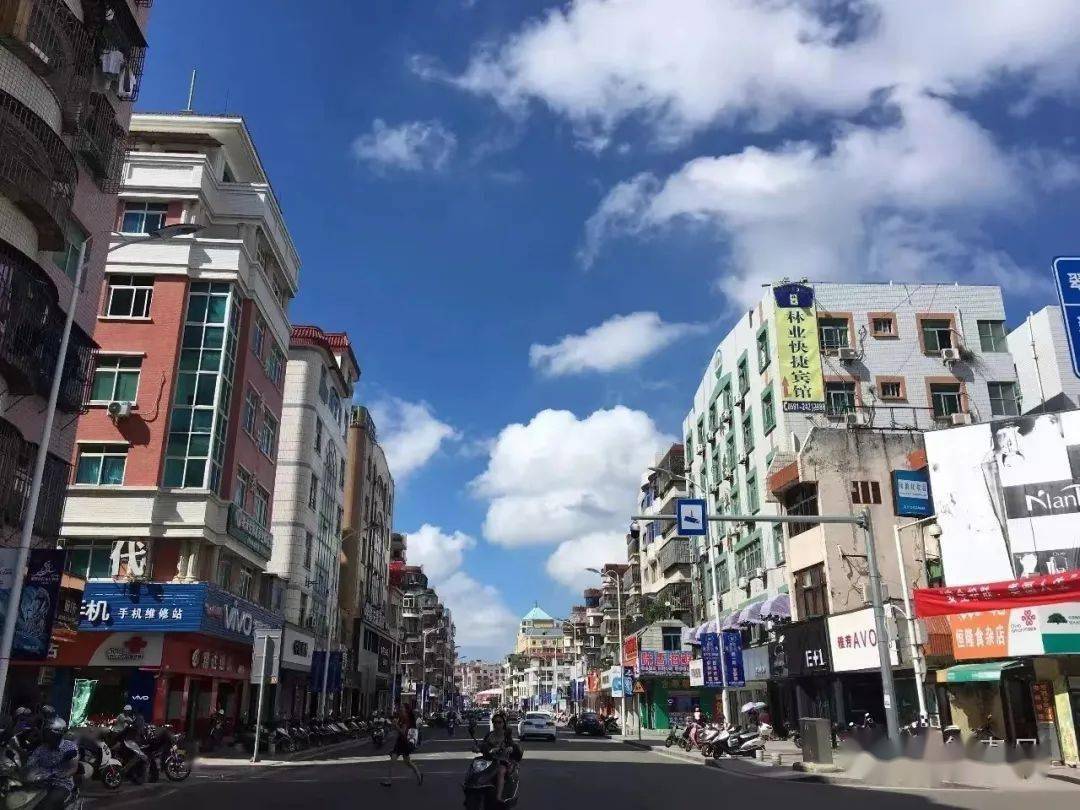 关于"916"--下辈子要做一棵榕树_平潭_鸟雀_路段