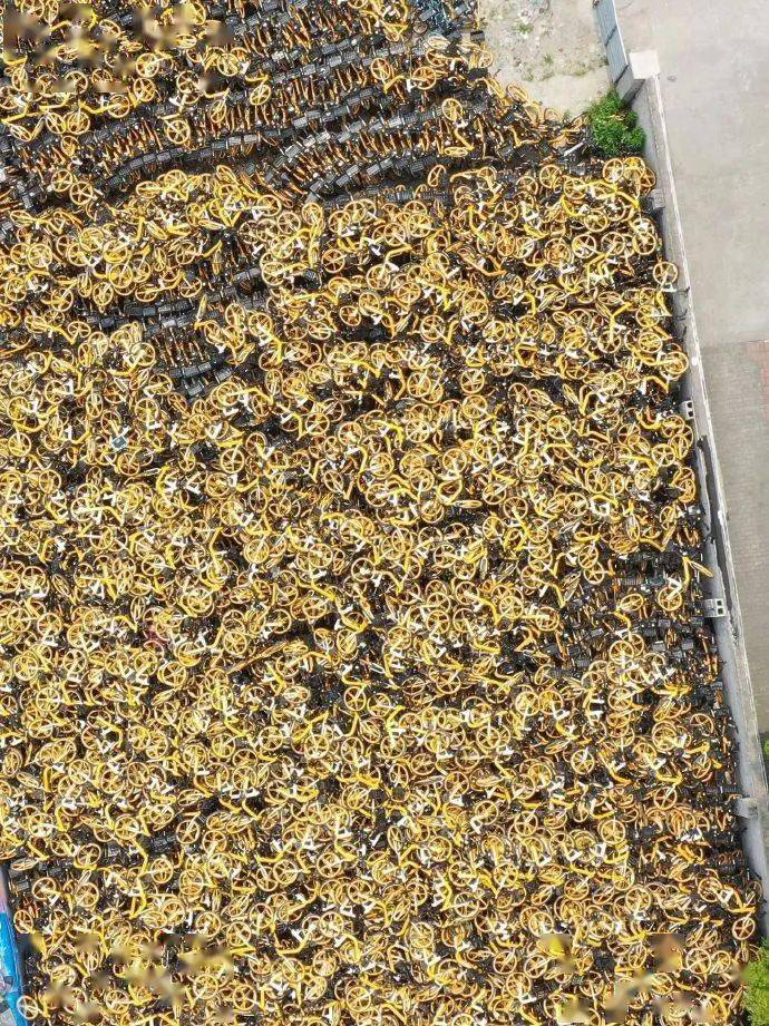 厦门人:我真的受够那些没有边界感的蟑螂了_办事_生育_生活