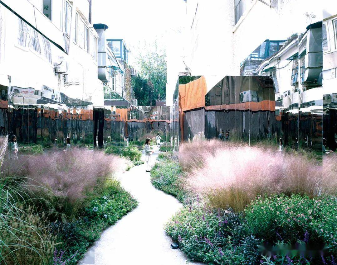 粉黛乱子草种植养护和景观应用 | 技术