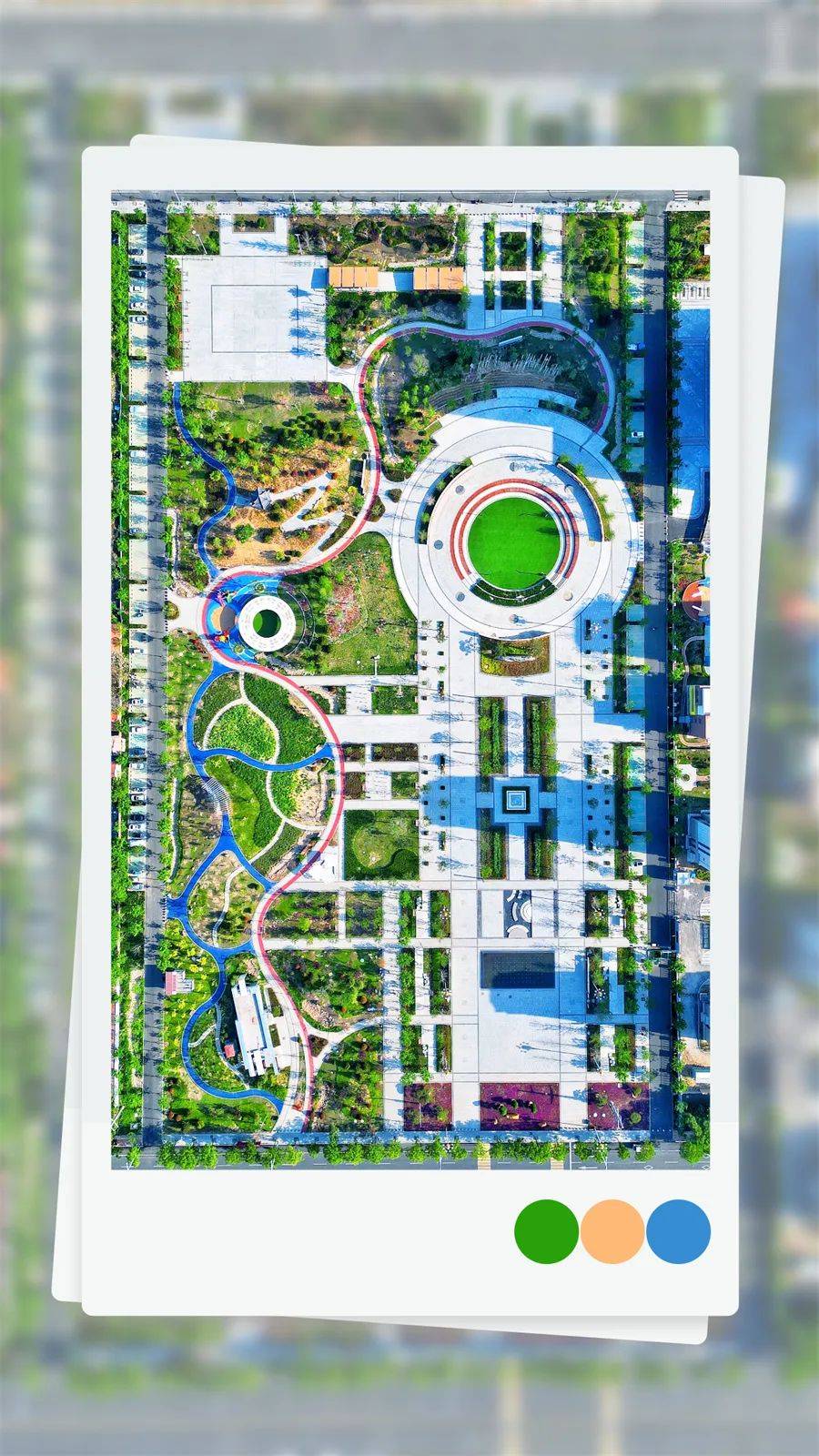 广场杂乱思绪跟随樱花的飘落而逐渐平静行走在自怡园置身于"映日荷花