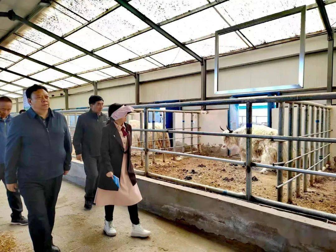 青海省科协党组书记王晓英一行赴海北州调研_科普_科技_示范园