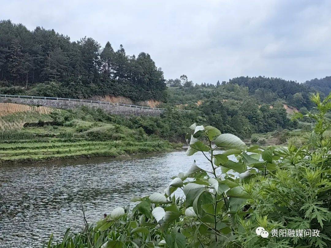 桃源河是贵州最负有盛名的漂流胜地，河水湍急|贵州|桃源河|胜地_新浪新闻