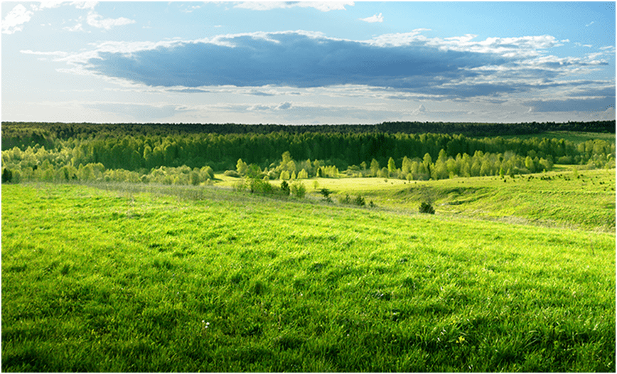 建设高标准牧场引领行业发展