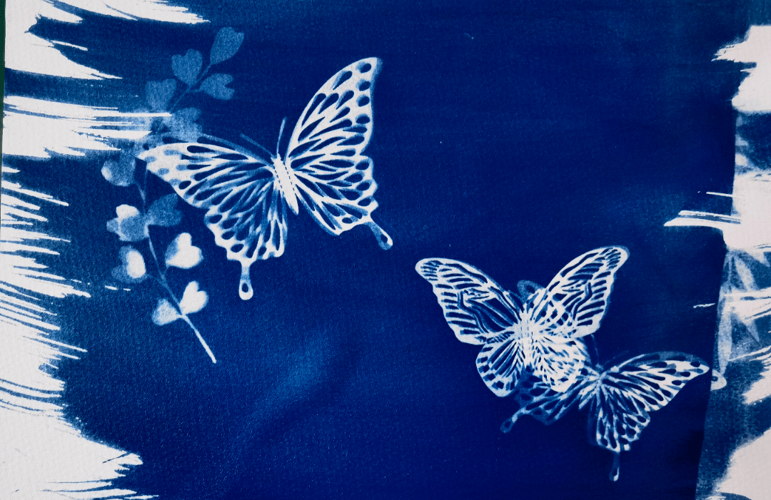 让我们走进蓝晒的奇妙世界吧!_摄影_画纸_作品