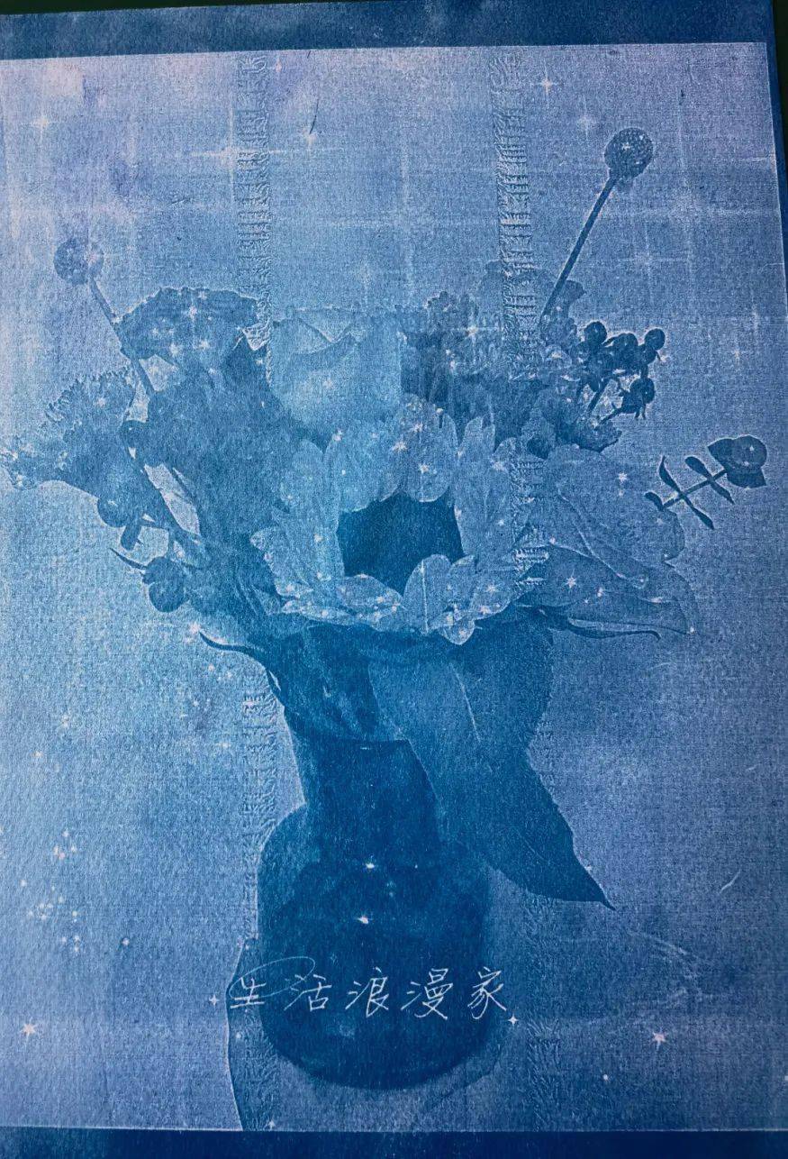 蓝晒的奇妙世界吧!