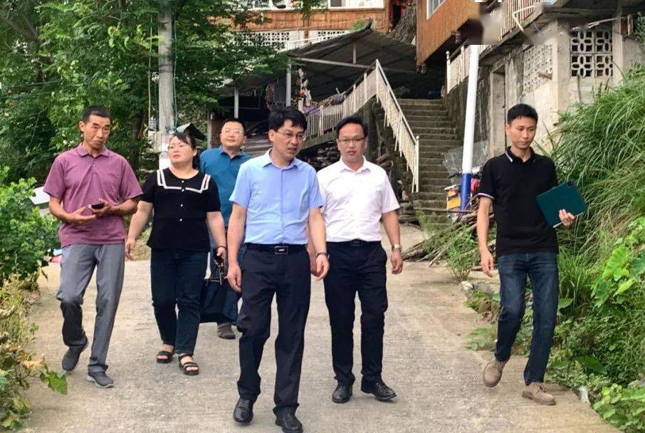 县长黄强到泗水乡调研罗汉果产业及"三产"融合发展情况_种植_相关