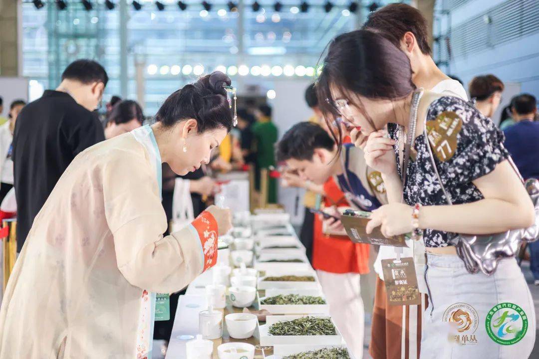 "凤凰单丛茶"杯2023国际鼎承宋代斗茶大会收官,15g金奖得主揭晓!