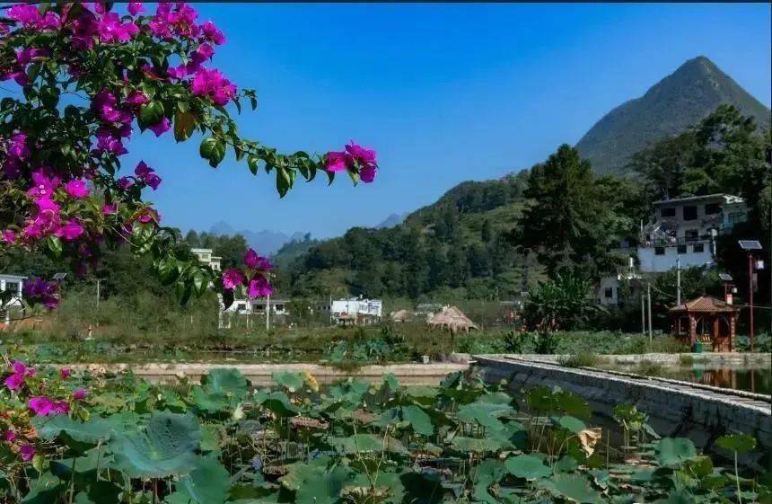 水城区 蟠龙镇 避暑天堂,清凉一夏走起!_车河_六盘水市_乡村旅游