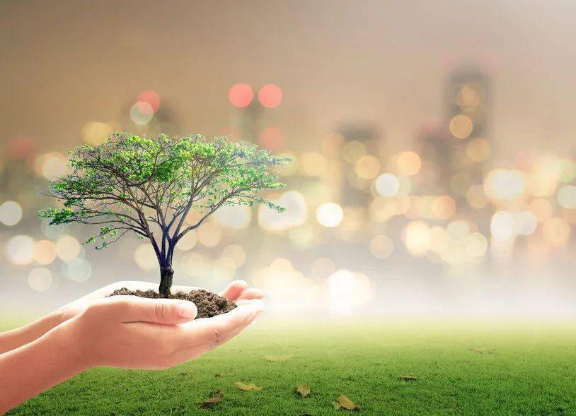 【奋进新征程61我们这五年】周红:用心倾听,以温