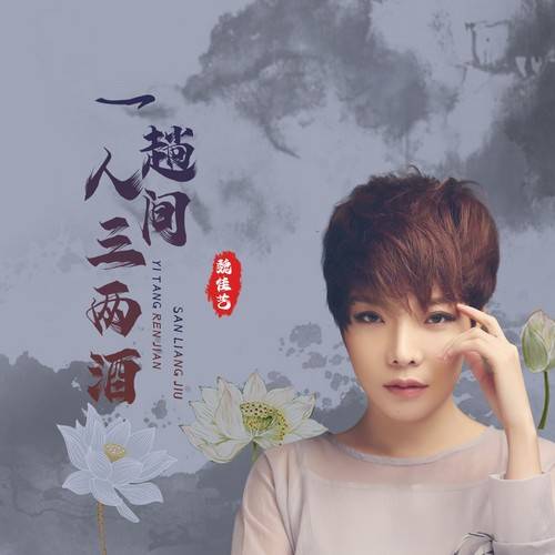 【新歌推荐】魏佳艺 -《一趟人间三两酒》 dj版_音乐_向东_红尘