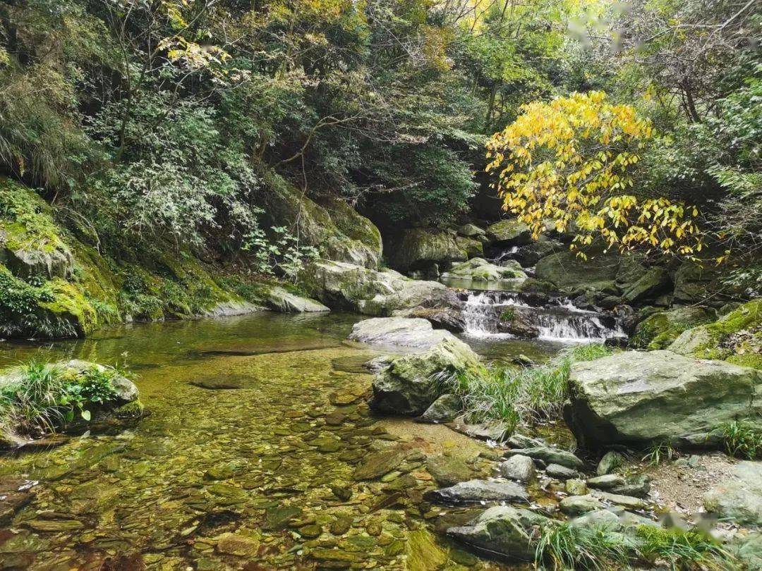 清河原始森林风景区图片