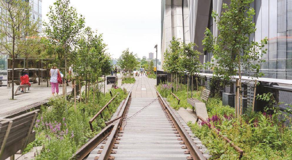 城市再野化——自然在城市空间中的价值和效益_生物_绿色_多样性