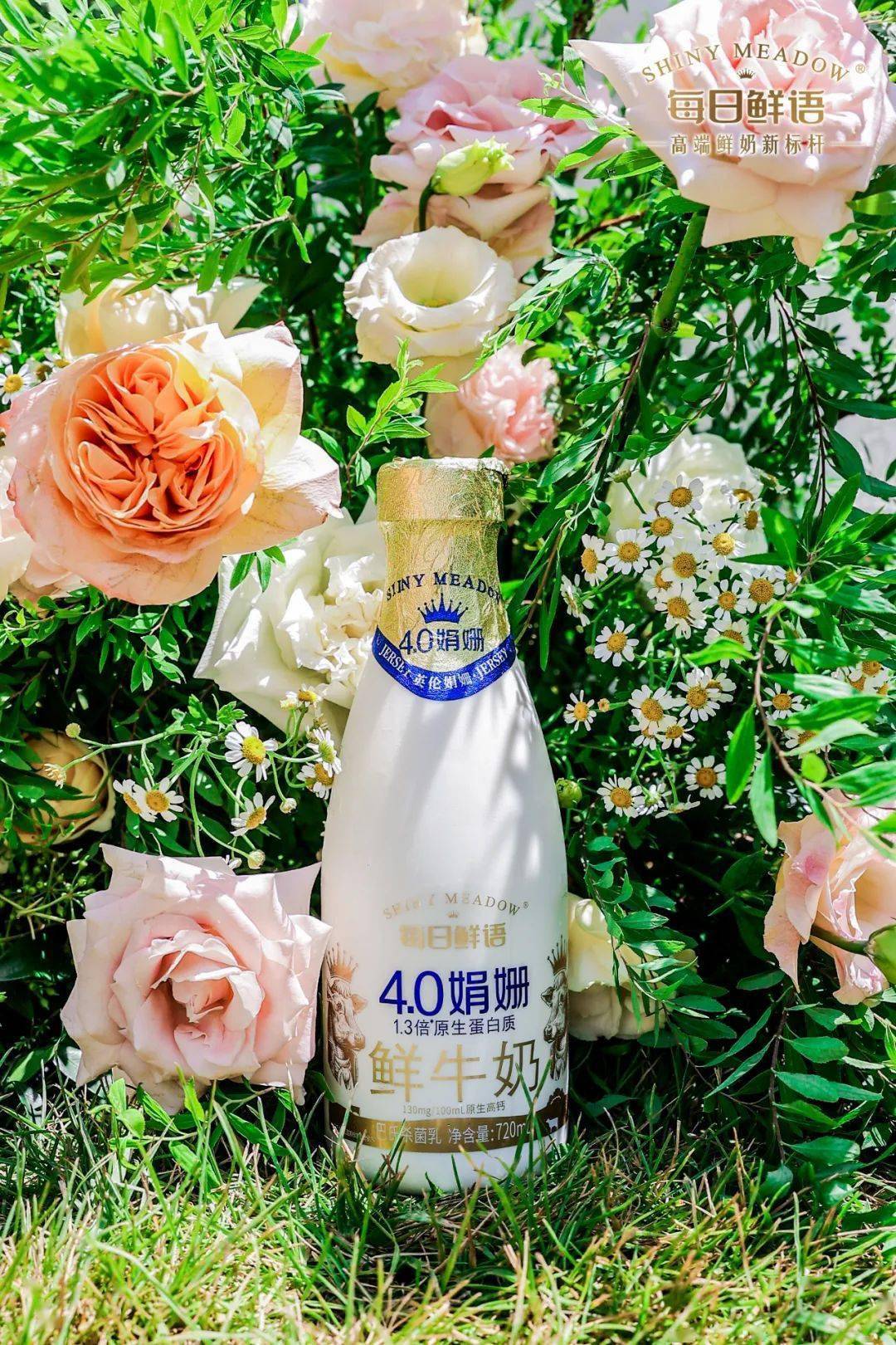 0娟姗鲜牛奶上新,美团买菜独家首发,开启高端品质生活!