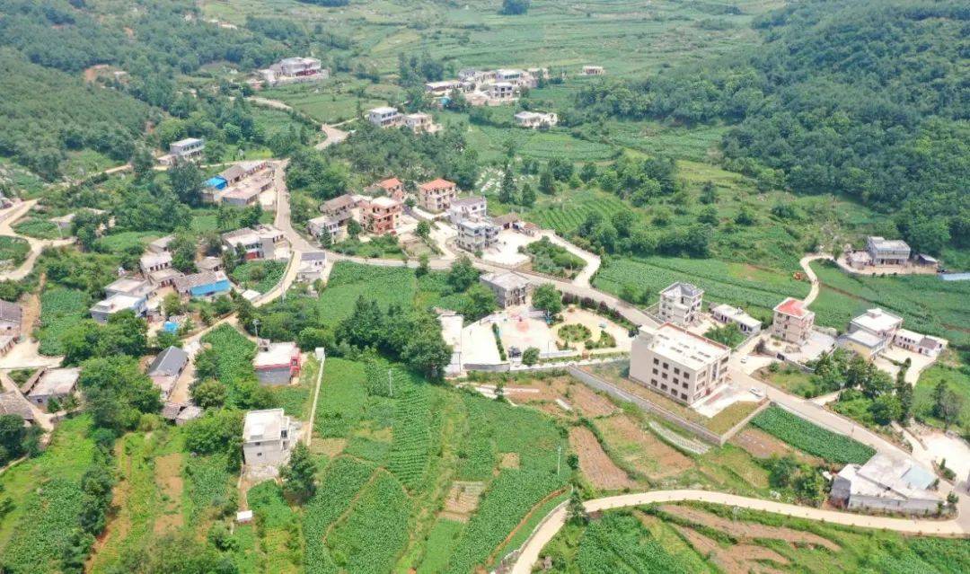 威宁盐仓黎坪村:景美人和新画卷_乡村_道路_盐仓镇