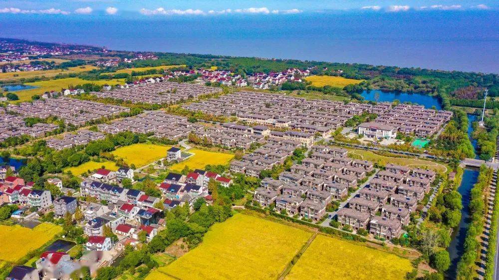 久久为功 履职不歇 看太湖之滨这个小村的富美"蝶变"_顾琪辉_图影村