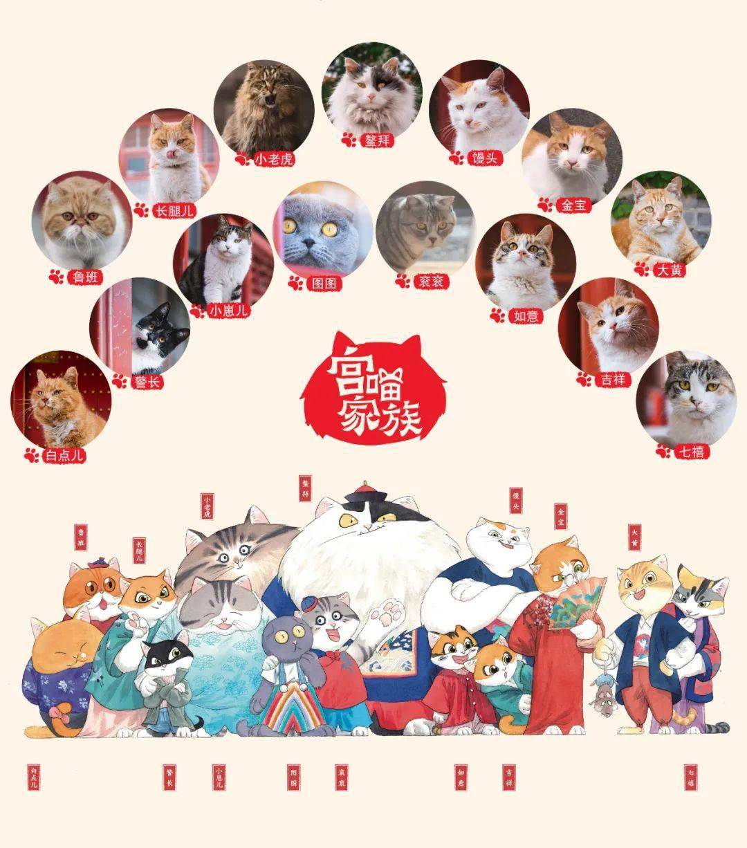 故宫的猫 名字图片