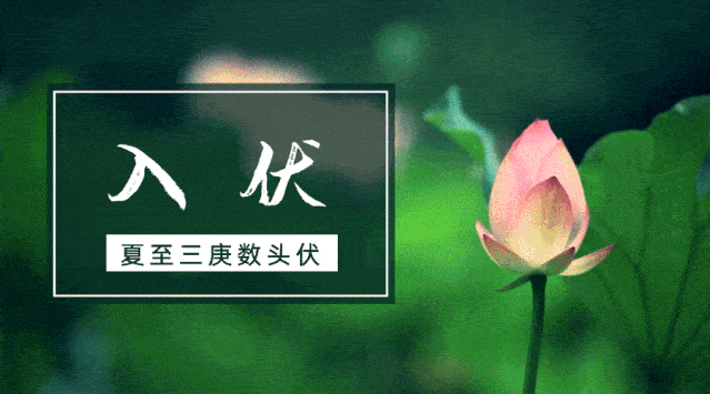 今年入伏不一般,牢记“3不同,3不做”,舒坦过伏天!_身体_母伏_时间