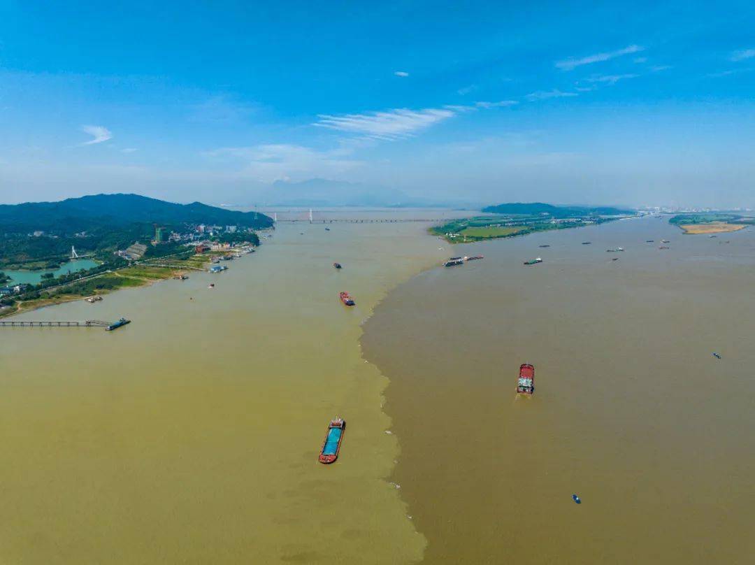 7月11日,在江西省九江市湖口县,长江与鄱阳湖交汇处出现江湖两色倒置