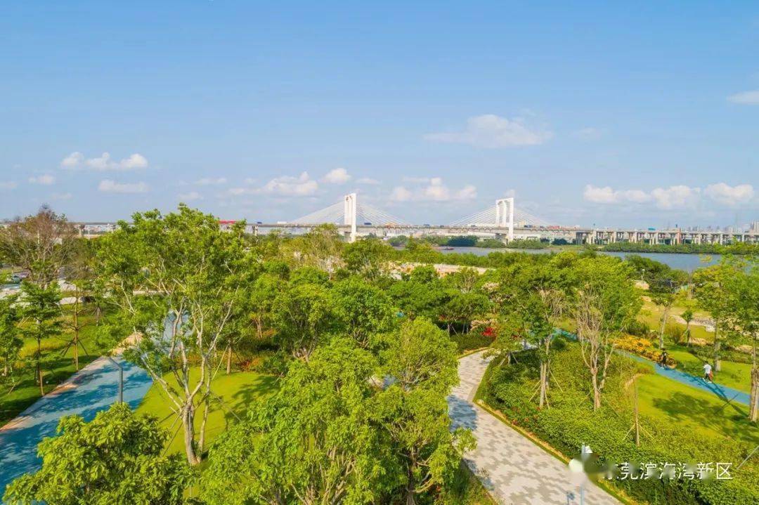 東莞最美濱海景觀線濱海驛站→花卉公園→青創廣場出遊方式推薦自駕遊