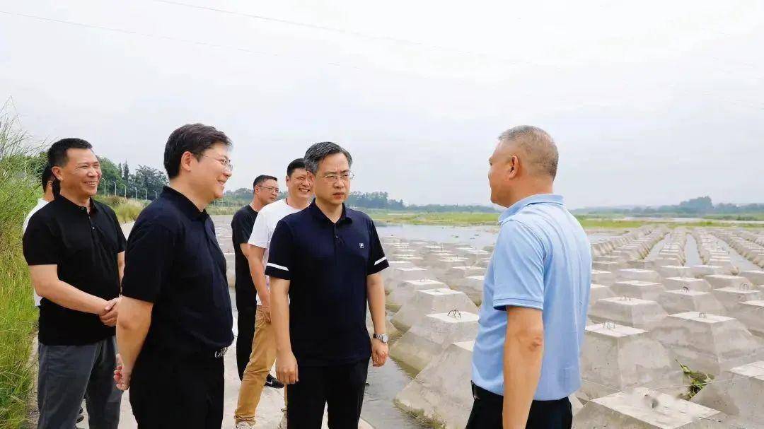 区委副书记,区长胡建平督导防汛和河长制工作