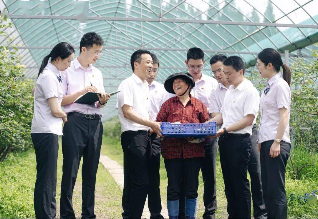 农业银行2022年青年英才先进集体及先进个人事迹摘编_支行_乡村_存款