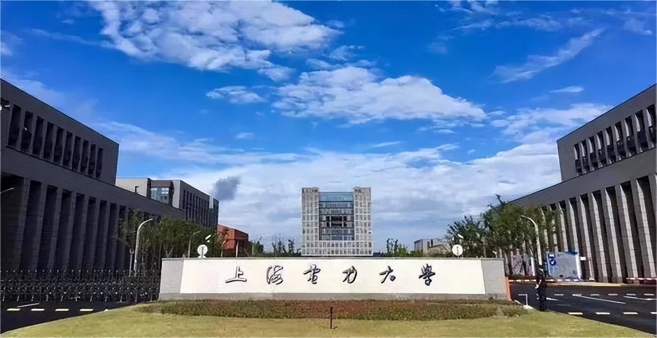 上海电力大学研究者在永磁电机转子偏心气隙磁场的计算上取得进展