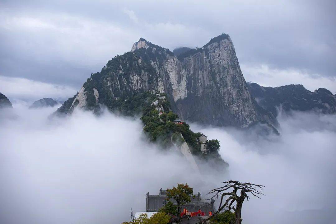 公示|"中国魂·华山情"全国摄影大赛相机组等级奖揭晓_陕西_渭南_西安