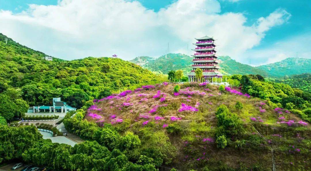古梯田,润楠步道拥有清溪湖,紫烟阁,东莞天池其中不乏众多的珍稀植物