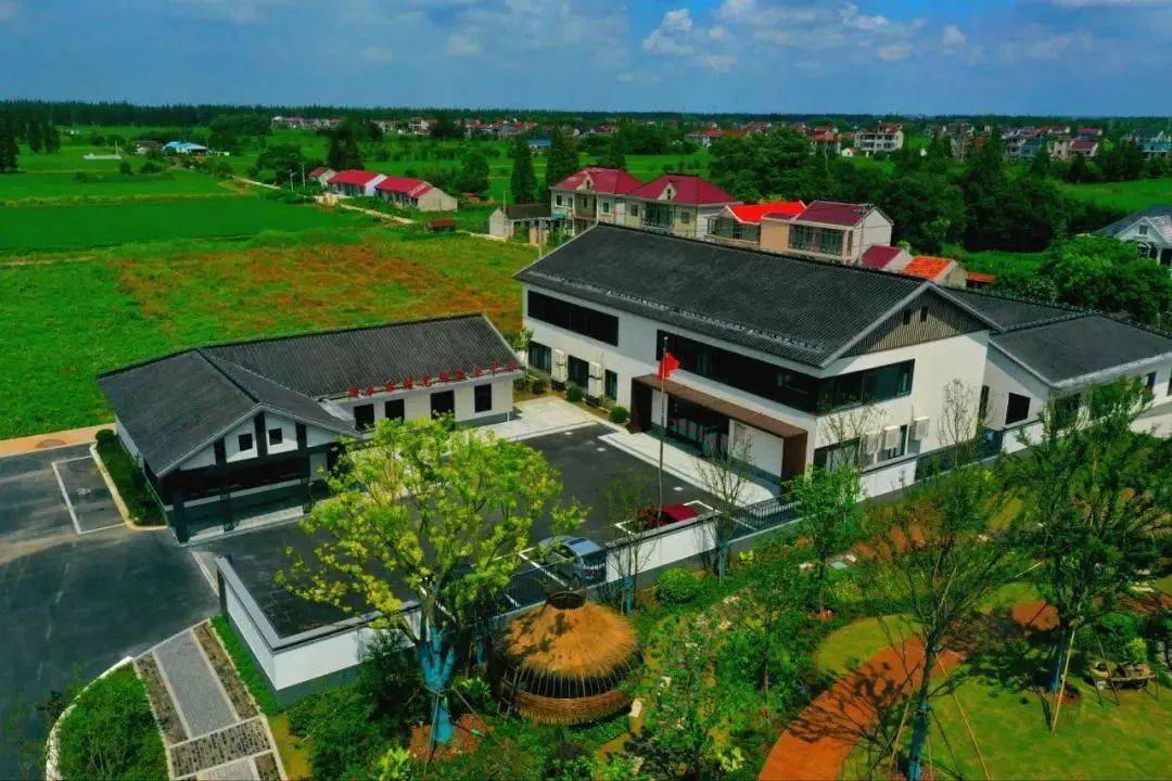 漫长的季节里,反复爱上庙镇_藏红花_崇明_种植