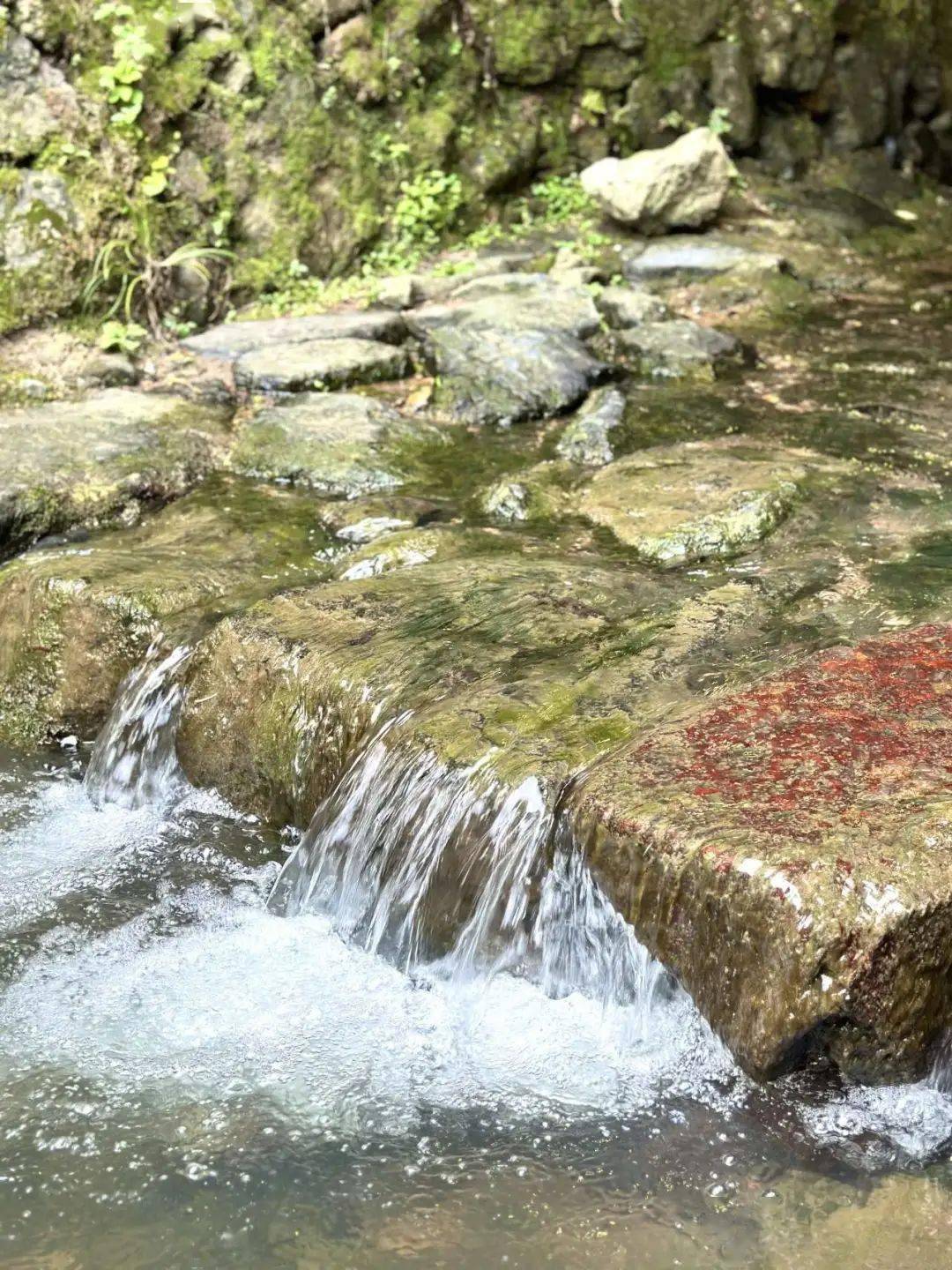 浦江纳凉圣地合集,你最心动哪一个?_桥洞_夏日_上河村