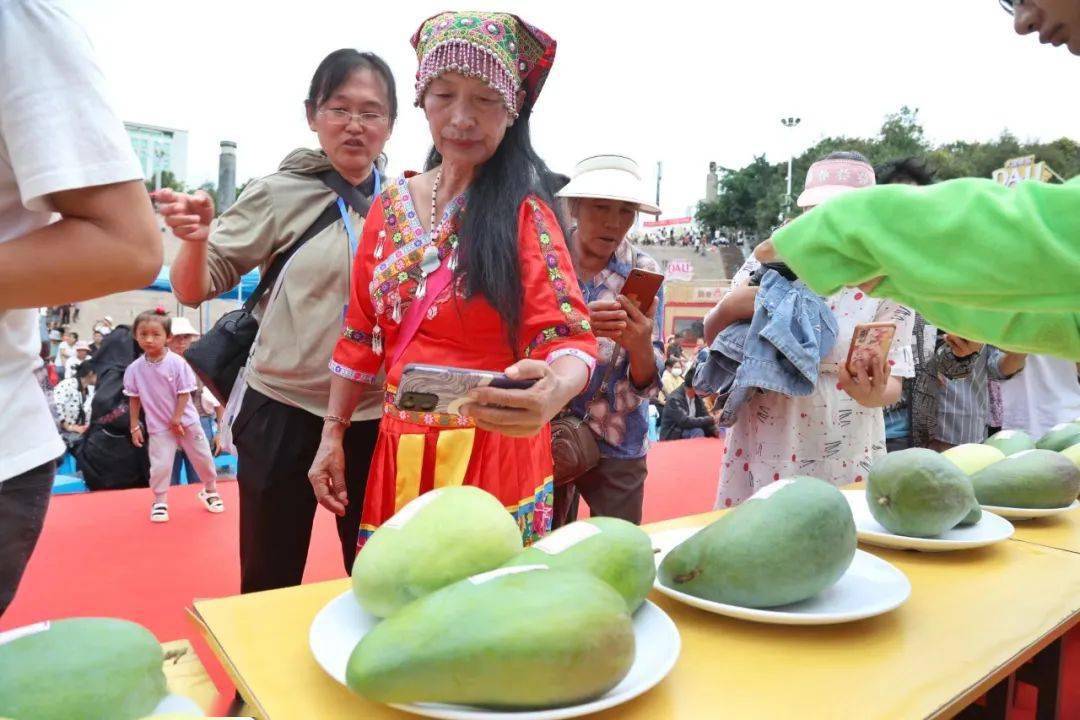 永德芒果节介绍图片